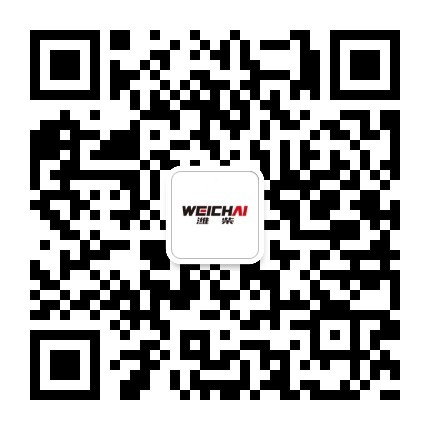 pp电子·(中国)官方网站